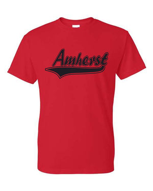 TEAM Amherst softball/baseball order